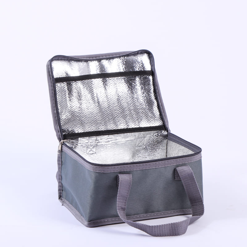Cooler Bag
