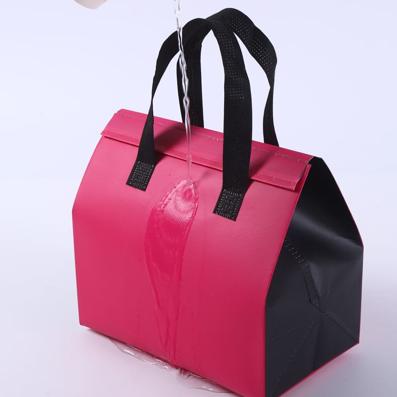 Non-woven Aluminum Foil Delivery Bag