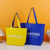 PP Woven Shopping Bag