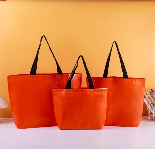 PP Woven Shopping Bag