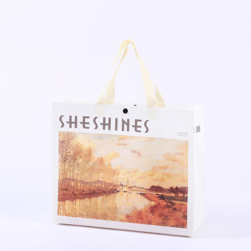 Non-woven Shopping Bag