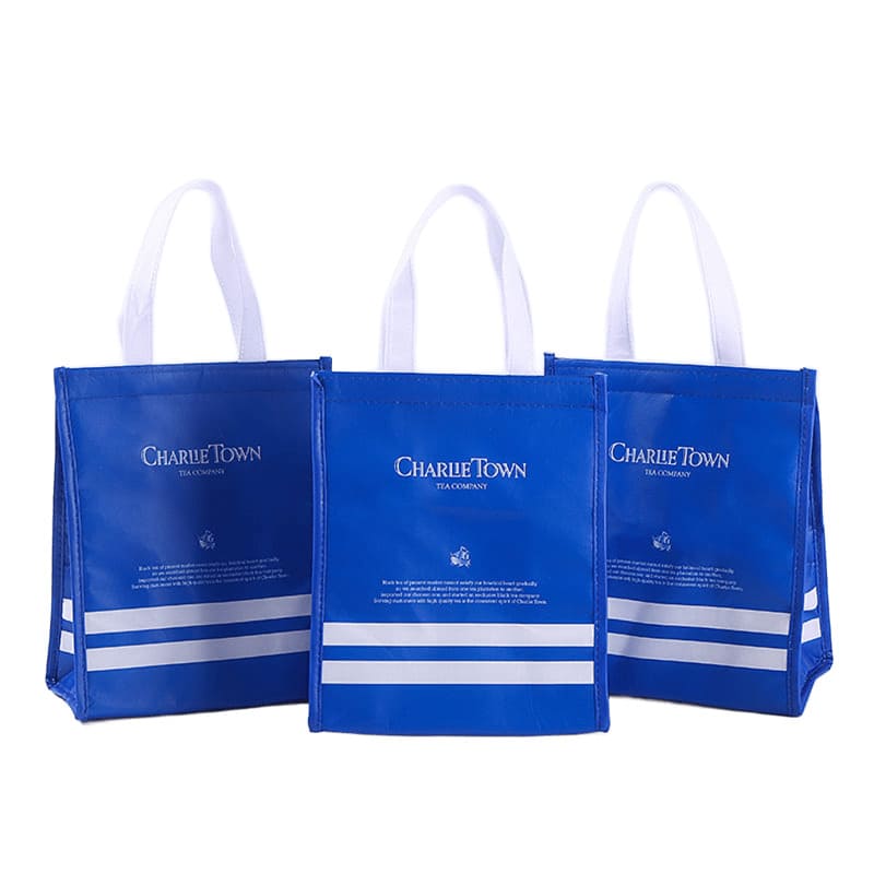 Velcro Cooler Bags