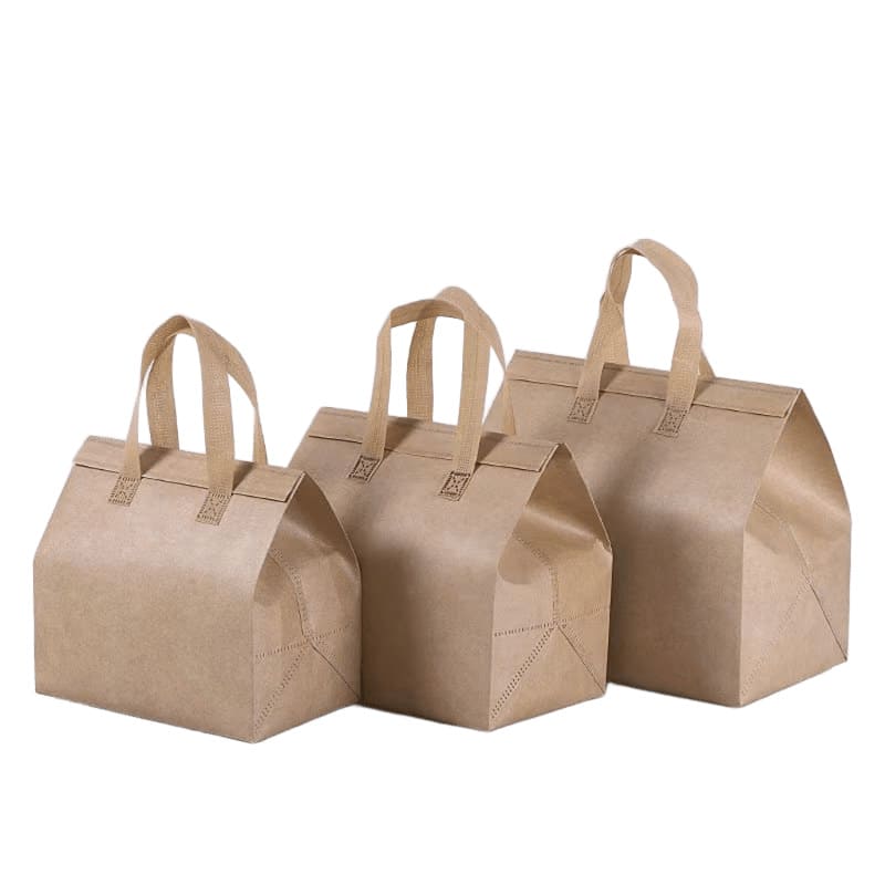 Kraft Paper Insulated Bag