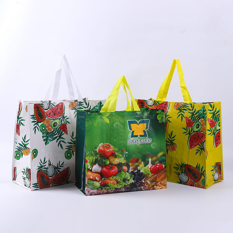 PP Woven Shopping Bags