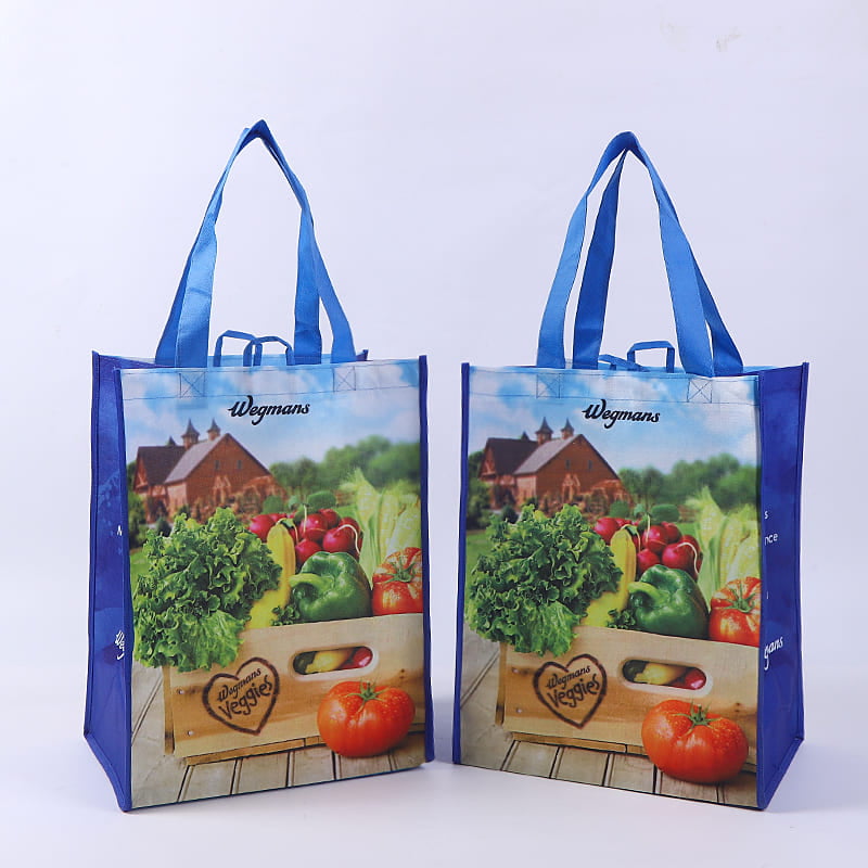 RPET Non-woven Shopper bag